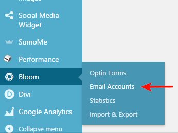 how-to-create-an-inline-email-optin-form-with-bloom-1