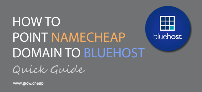How To Point NameCheap Domain To BlueHost (Quick) #BlueHost #NameCheap #DNS